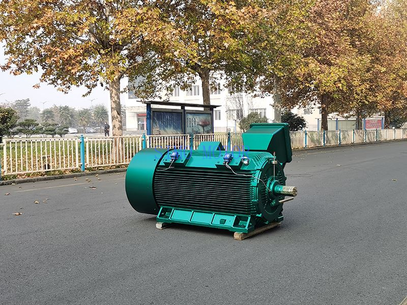 High-Voltage Flameproof Motor High-Voltage Flameproof Motor