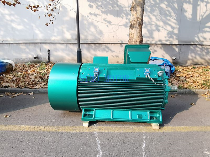 High-Voltage Flameproof Motor High-Voltage Flameproof Motor