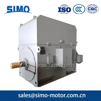 Silnik indukcyjny napięcia 10KV630W